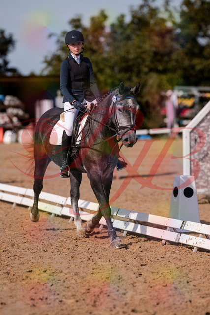 2026_10_03_Siefer-Hof_120028_Z81_02172358 | Professionelle Reitsport-, Turnier- und Eventfotografie von Robert Broda. Galerien mit ausgewählten und bearbeiteten Bildern direkt online ansehen und bestellen.