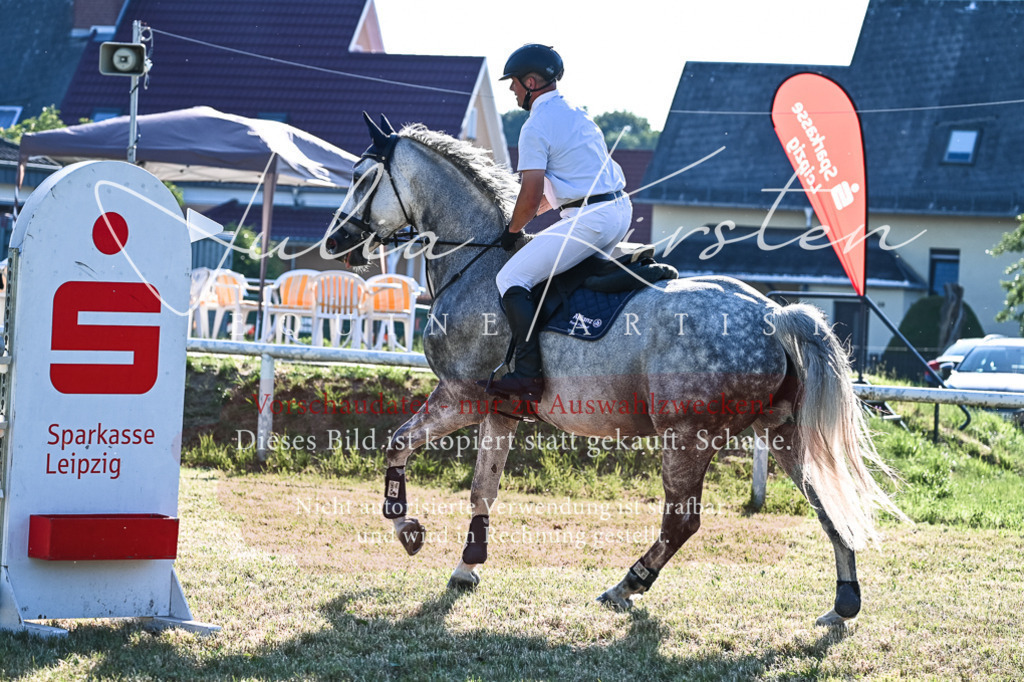 DSC_2826 | Pferde- und Turnierfotografie in Westsachsen. Pferdeportraits, Auftragszeichnungen und intuitive Kunst.