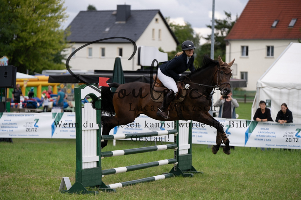 A7V03948 | Pferdefotograf