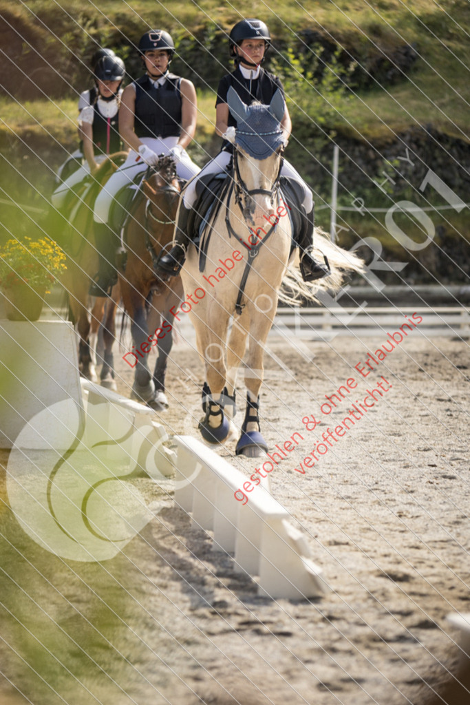 IMG_5870 | Sport-, Event- und Tierfotos in Profiqualität. Einfach auswählen, bestellen und herunterladen. Dein Moment – perfekt festgehalten.