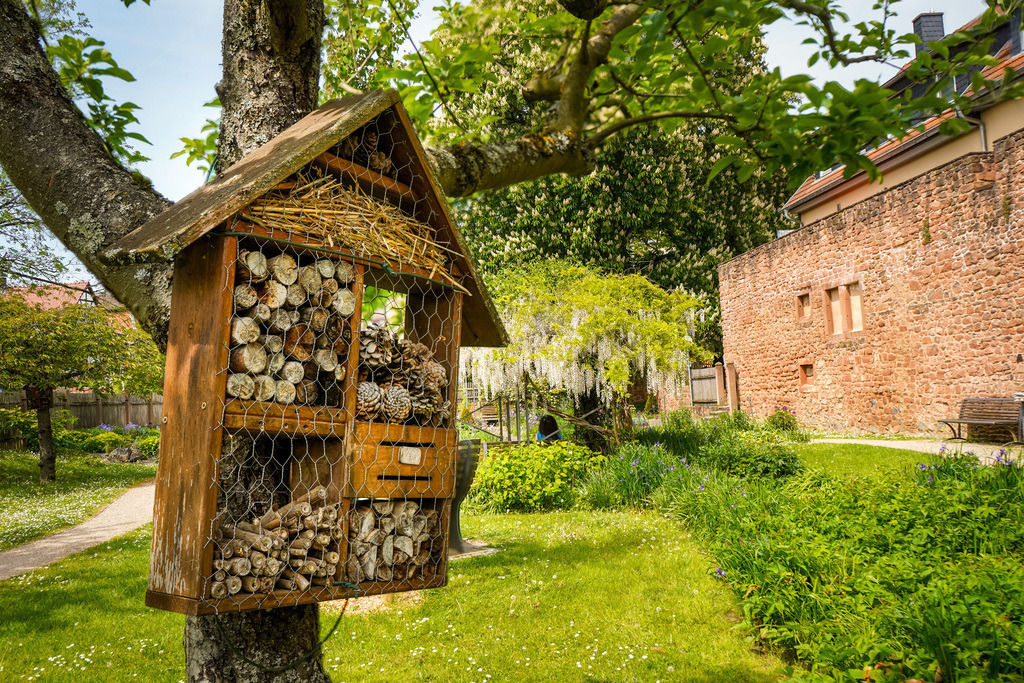 Instektenhaus - Büdingen | Der Garten Kölsch in Büdingen lädt nicht nur die menschlichen Bürger der Stadt zum Verweilen ein. Auch den Insekten und allen voran den Wildbienen bietet das Kleinod hinter dem Marktplatz ein zu Hause. Die strategisch platzierten Insektenhotels sorgen dafür, dass wichtige Kleinsttiere einen Platz zum Überwintern und Nisten finden. Im Gegenzug sorgen die kleinen Arbeiter für die Bestäubung der Stauden in der Grünanlage. - Realisiert mit Pictrs.com