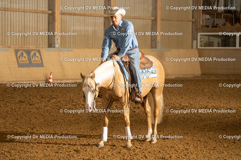 LAU00207 | dv-media-shop - Realisiert mit Pictrs.com