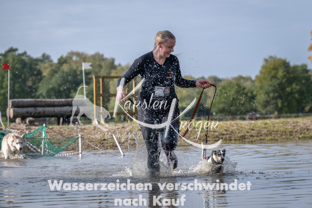 1156_ZZ94663 | kk-dogfotos
