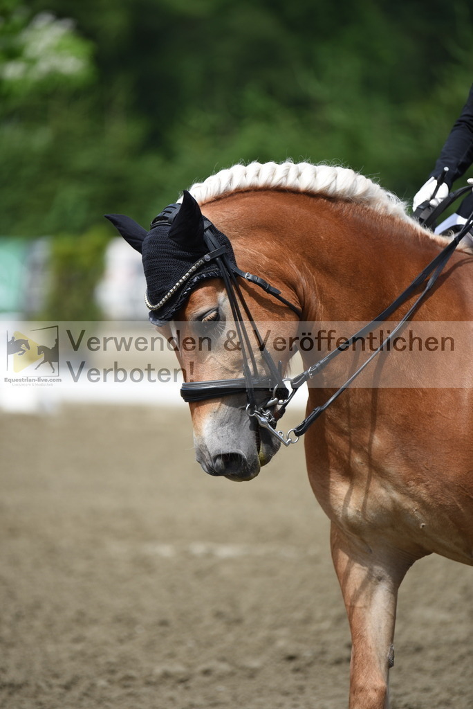 DSC_0633 | equestrian-live-com