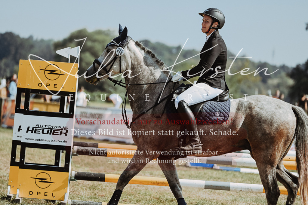 DSC_9475 | Pferde- und Turnierfotografie in Westsachsen. Pferdeportraits, Auftragszeichnungen und intuitive Kunst.