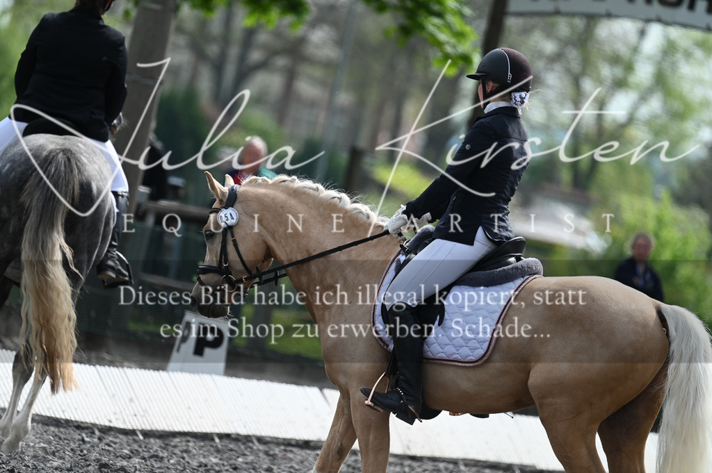 20230512_JK-Röhrsdorf-01-055 | Pferde- und Turnierfotografie in Westsachsen. Pferdeportraits, Auftragszeichnungen und intuitive Kunst.