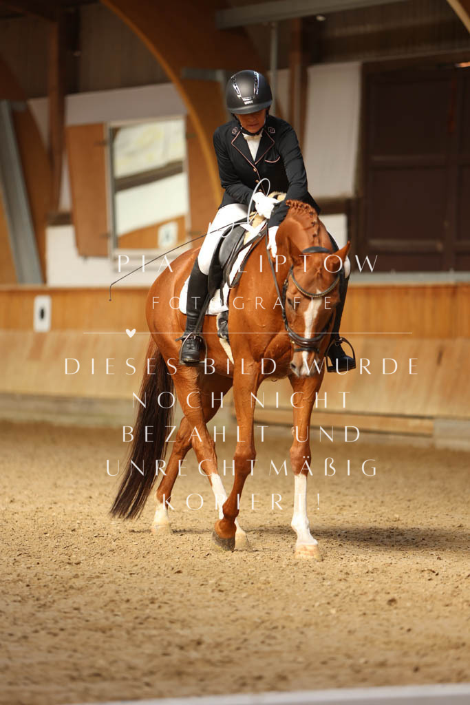 IMGM4144 | pl-fotografie