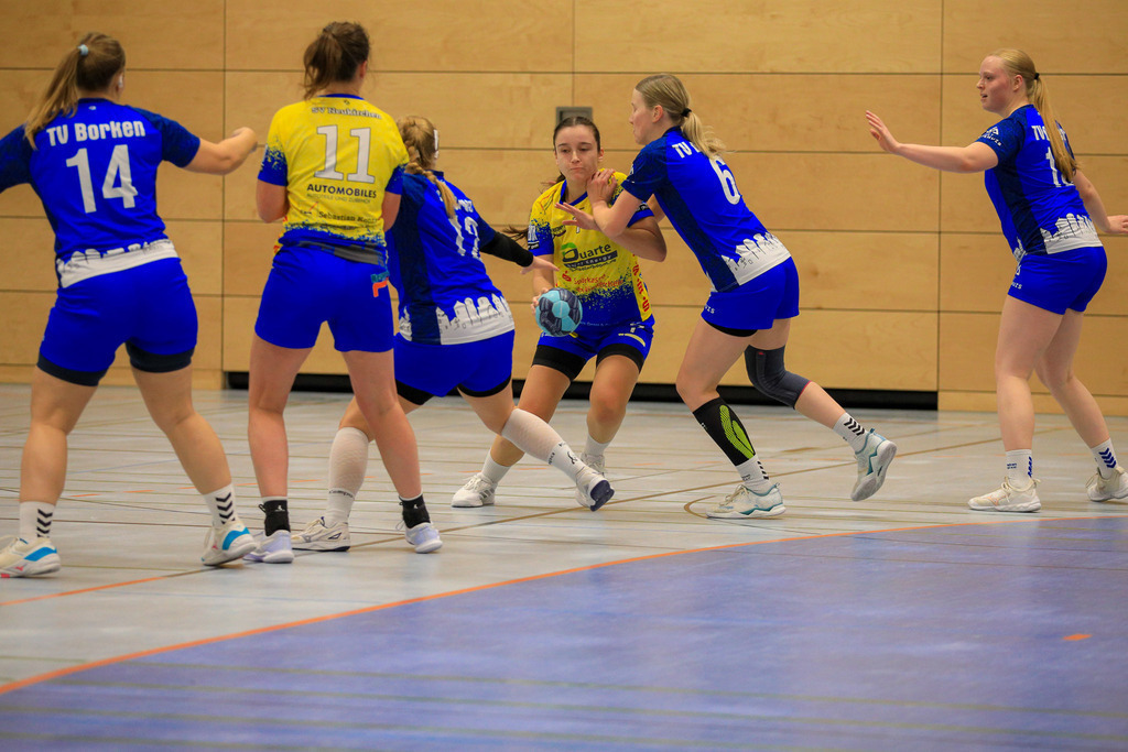 TvBorkenIII_SVN_161125_251 | Bildergalerie von Sport-Ereignissen aber auch von weiteren spannenden Dingen - nicht nur vom Niederrhein. In Anlehnung an den bekannten Spruch von Hanns Dieter Hüsch heißt das Motto: "Niederrhein ist überall".  - Realisiert mit Pictrs.com