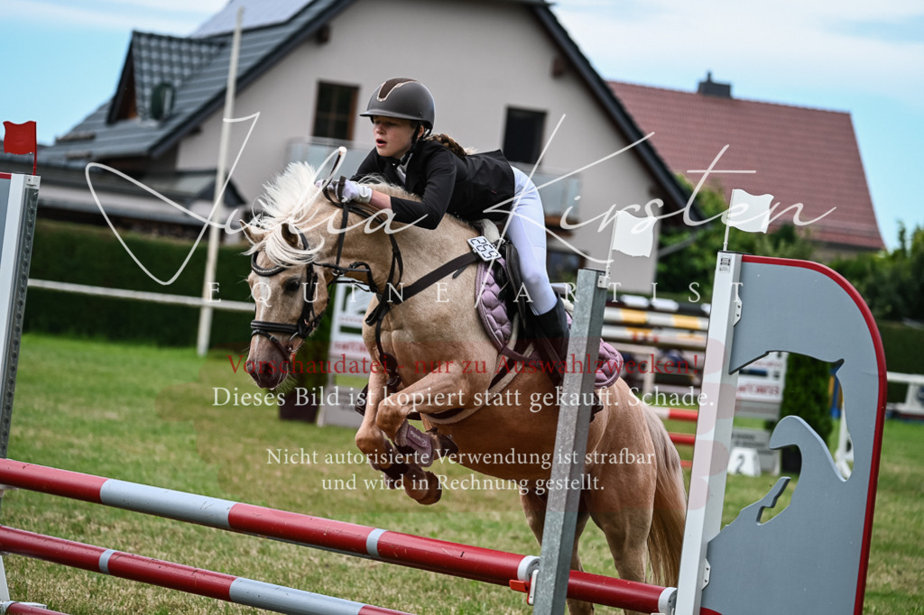 DSC_8616 | Pferde- und Turnierfotografie in Westsachsen. Pferdeportraits, Auftragszeichnungen und intuitive Kunst.