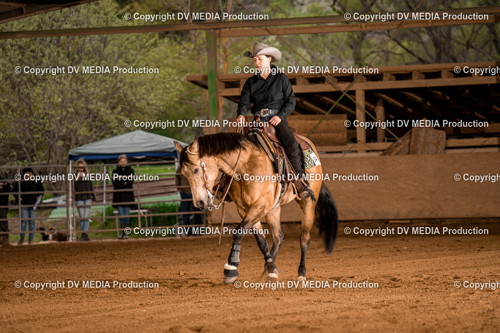 BA301310 | dv-media-shop - Realisiert mit Pictrs.com