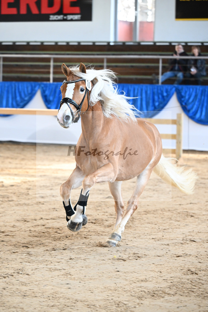 Kat-Nr. 10 Ellenborns Atemlos v. Abendwind_Schwarz_48250090 | hf-fotografie - Realisiert mit Pictrs.com