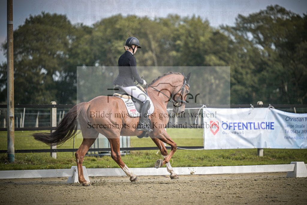 DOS_B673 | Entdecke hochwertige Reitturnierfotos von Foto Oger. Professionell, emotional und authentisch – jetzt Lieblingsmomente im Shop bestellen.Deutschlandweite Turnierfotografie. - Realisiert mit Pictrs.com