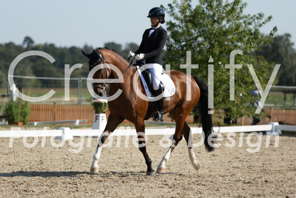 IMG_6005 | Creatify Fotografie