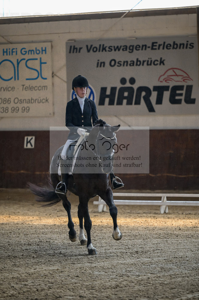 Reitturnier Voxtrup | Entdecke hochwertige Reitturnierfotos von Foto Oger. Professionell, emotional und authentisch – jetzt Lieblingsmomente im Shop bestellen.Deutschlandweite Turnierfotografie. - Realisiert mit Pictrs.com