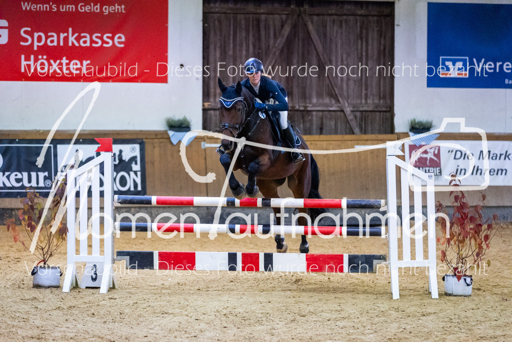 Sth-L-Springen-031 | MomenTaufnahmen Pferdesportfotos