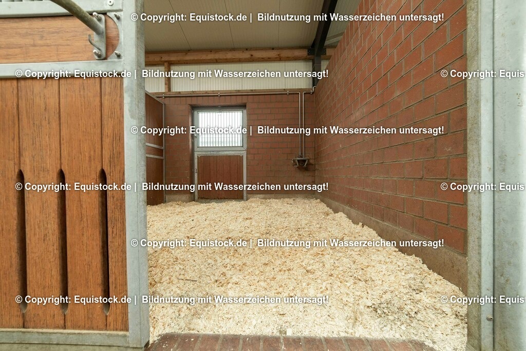 20190409_Einstreu_in_Pferdebox_0080 | Foto: Thomas Hartig