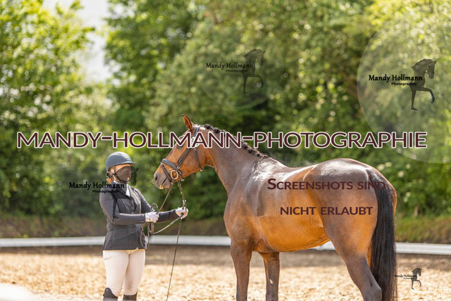 RPF 4 Filsum (365 von 535) | mandyhollmannphotographie
