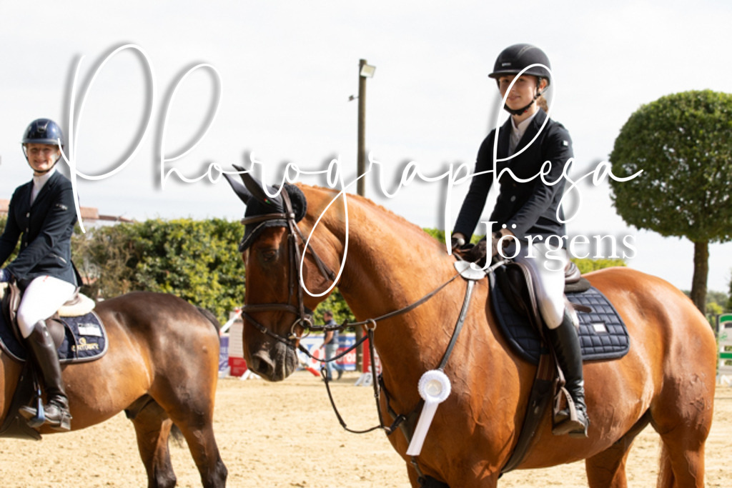 IMG_6637 | photographesa-joergens - Realisiert mit Pictrs.com