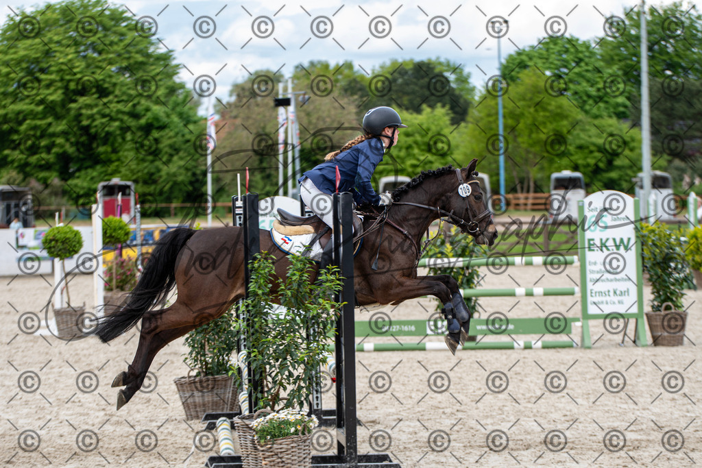 KPT_6364 | andre_photographic