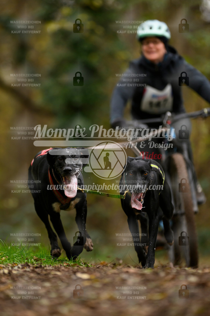 MompixPhotography_Bischwiller24_SA_VTT2-3 | PayLife