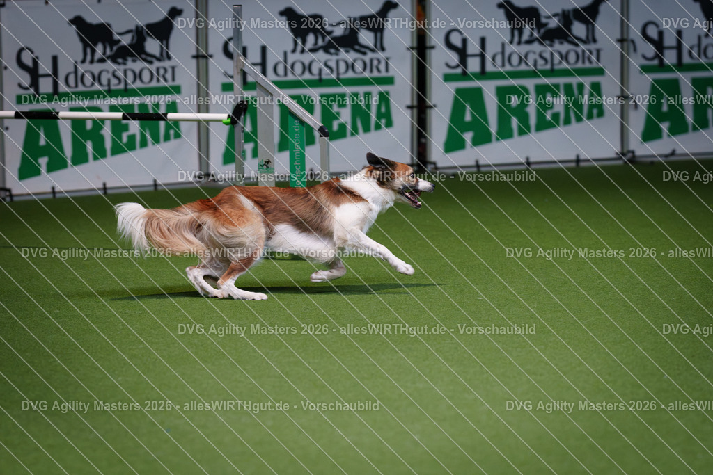 allesWIRTHgut_Tierfotografie-DVG_Agility_Masters_2026-14_32-7R500627 | Professionelle Tierfotografie in Mönchengladbach von Daniel Wirth (allesWIRTHgut). Liebevolle & natürliche Bilder von Hunden & Katzen für unvergessliche Erinnerungen.