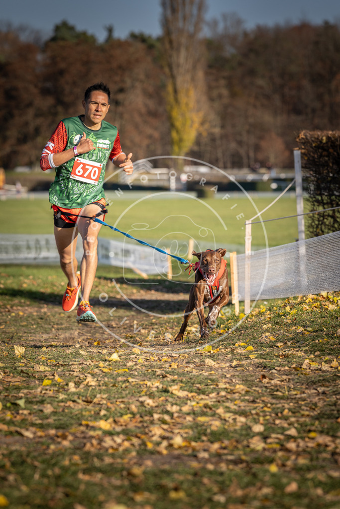 CaniXpix_DV3A0832 | Hundefotografie, Tierfotograf, Pfotenfotografie, Fotoshooting Hund, Hunde Portrait, Hundesport, Hundeportraits, Heideshooting, Hunde, Sportfotograf, Hundefotograf, Turnierhundsport, THS,  - Realisiert mit Pictrs.com