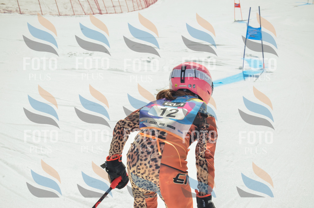 _ELE4596 | holidayphoto