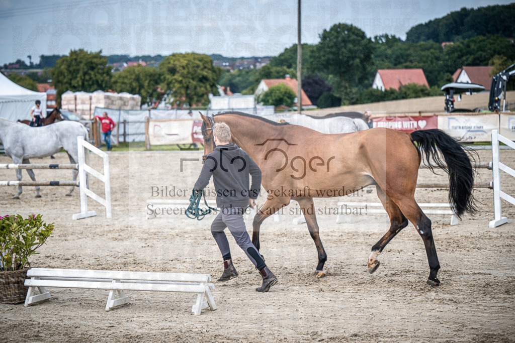 DOS_0219 | Entdecke hochwertige Reitturnierfotos von Foto Oger. Professionell, emotional und authentisch – jetzt Lieblingsmomente im Shop bestellen.Deutschlandweite Turnierfotografie. - Realisiert mit Pictrs.com