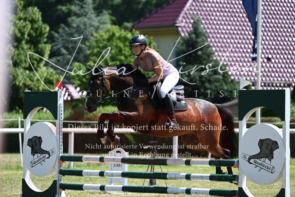 DSC_0769 | Pferde- und Turnierfotografie in Westsachsen. Pferdeportraits, Auftragszeichnungen und intuitive Kunst.