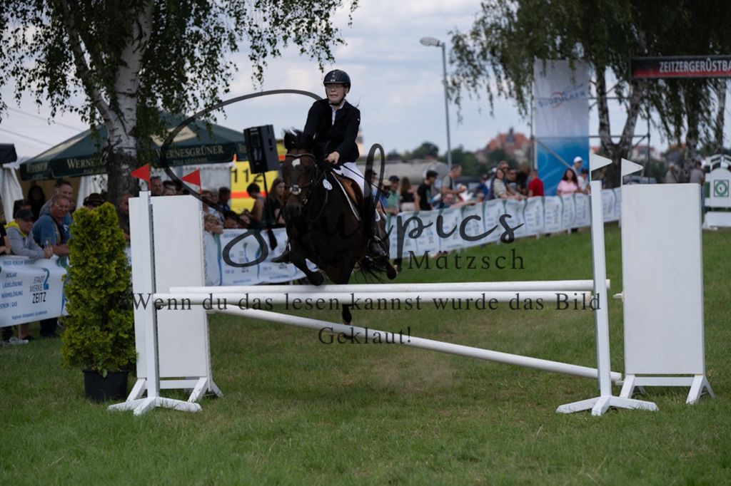 A7V04422 | Pferdefotograf