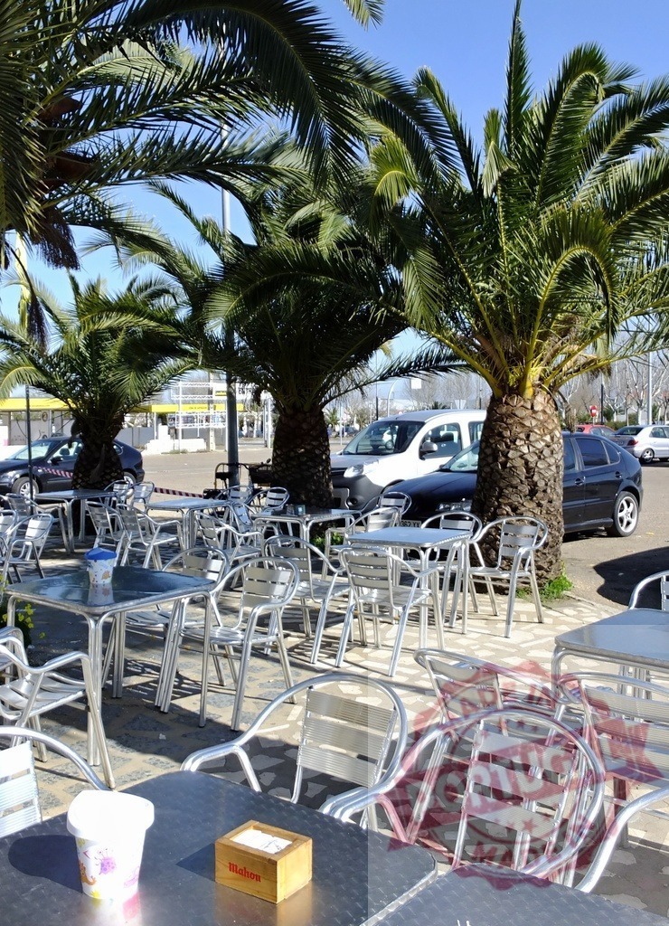 Outdoor cafe tables chairs set under palm trees | Empty outdoor cafe tables and chairs waiting for customers under tropical palm trees - Realized with Pictrs.com