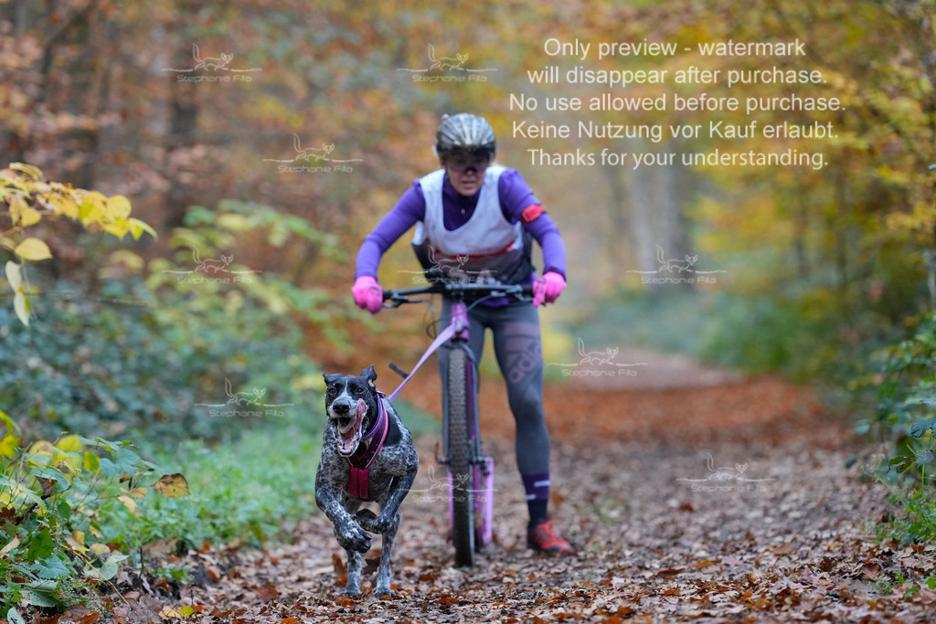 Scooter_So-13 | stephaniefillaphotographie - Realisiert mit Pictrs.com