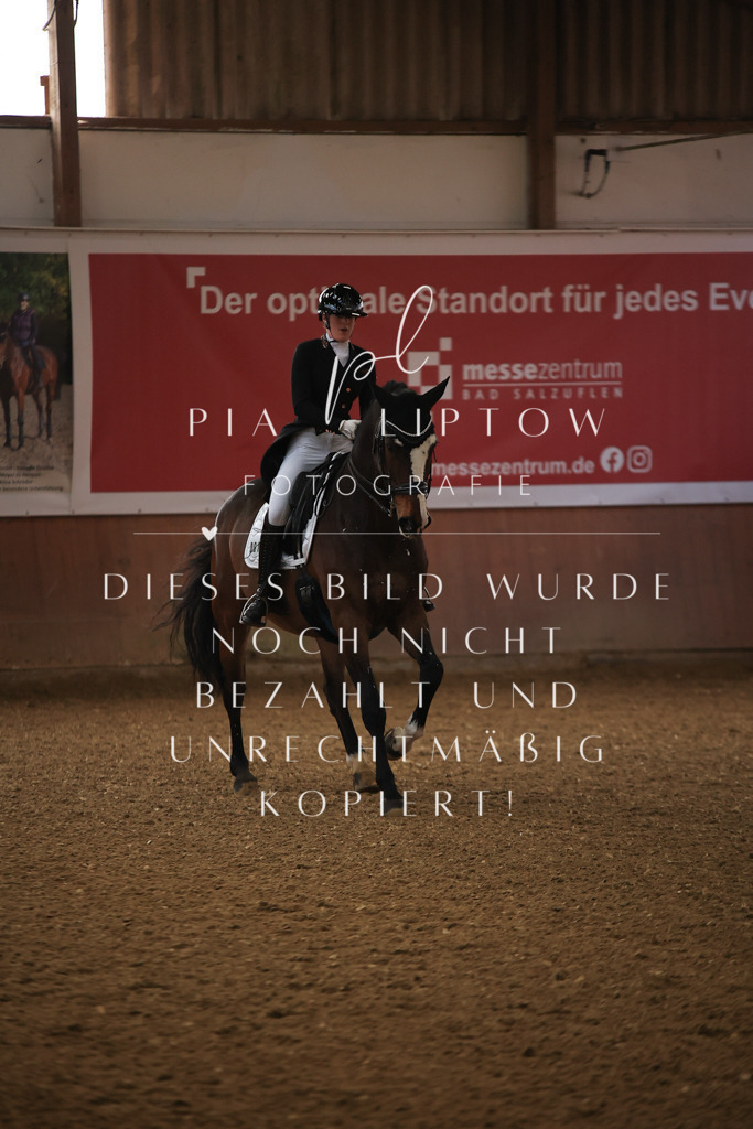 IMGT4454 | pl-fotografie