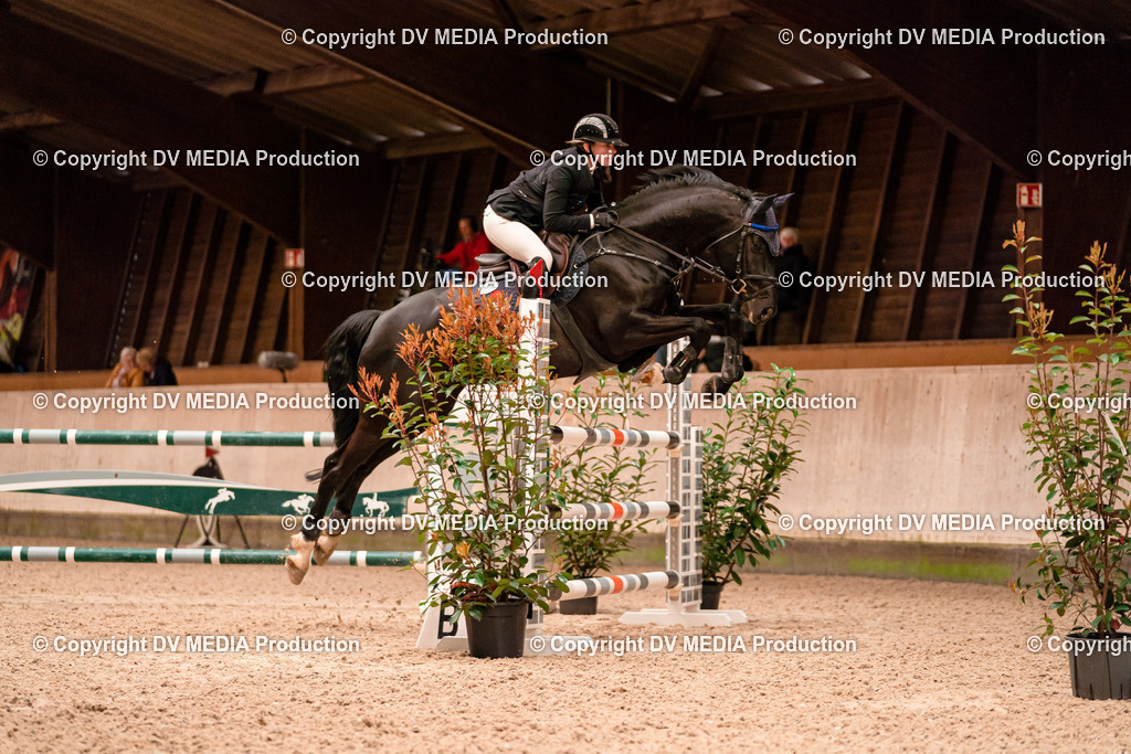 Springen Tag 1-586 | dv-media-shop - Realisiert mit Pictrs.com