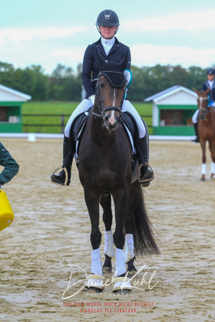 DKP43769 | Turniersportfotografie; Pferdefotografie; Dressurfotografie