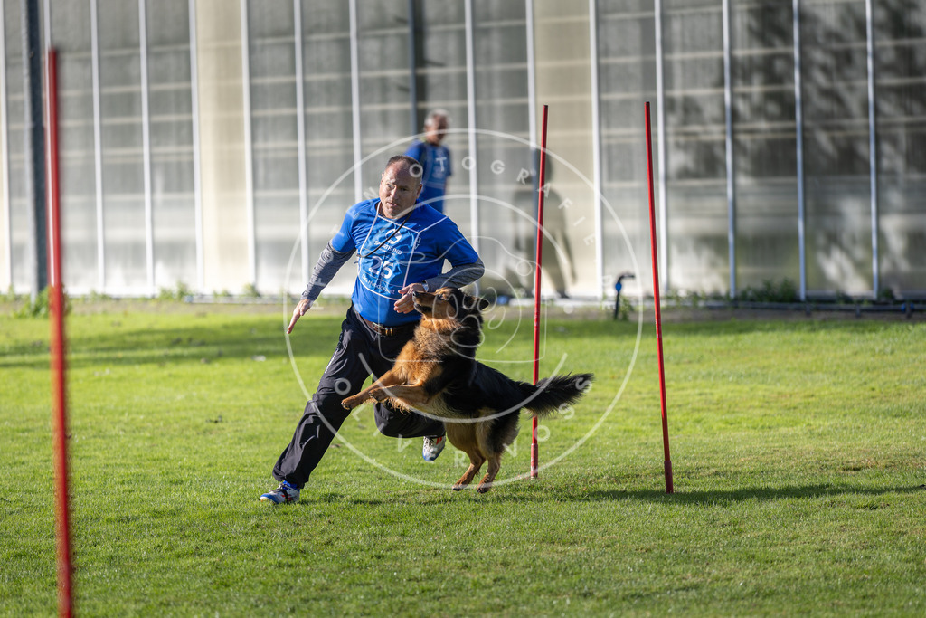 Pfotenfotografie.de_DV3A3315 | Hundefotografie, Tierfotograf, Pfotenfotografie, Fotoshooting Hund, Hunde Portrait, Hundesport, Hundeportraits, Heideshooting, Hunde, Sportfotograf, Hundefotograf, Turnierhundsport, THS, canicross - Realisiert mit Pictrs.com
