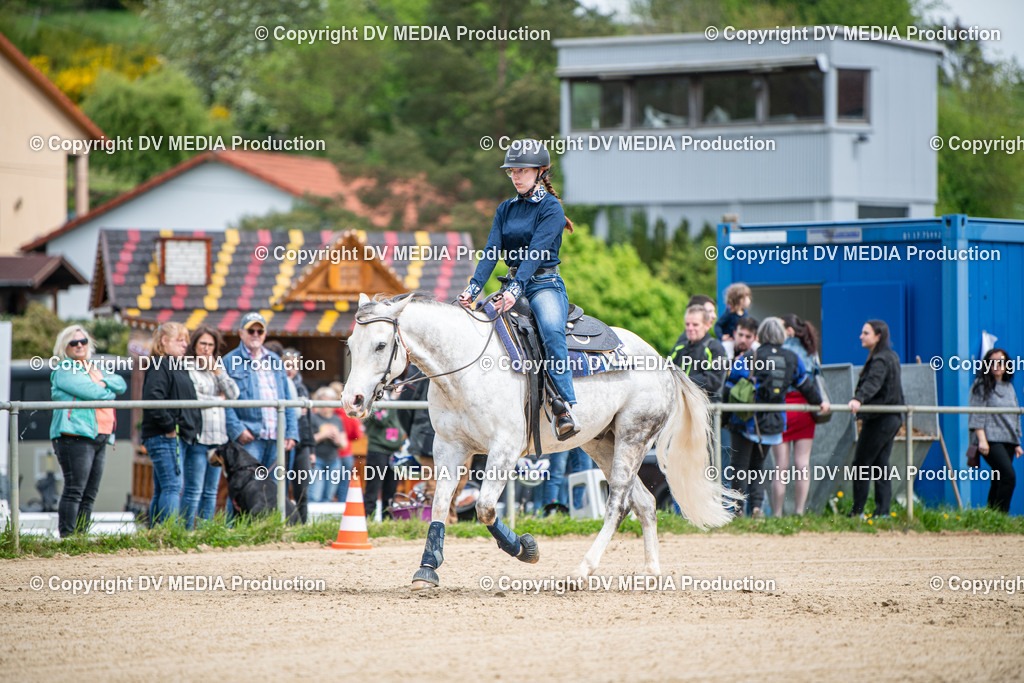 Heiligenwald Tag 2-1874 | dv-media-shop - Realisiert mit Pictrs.com