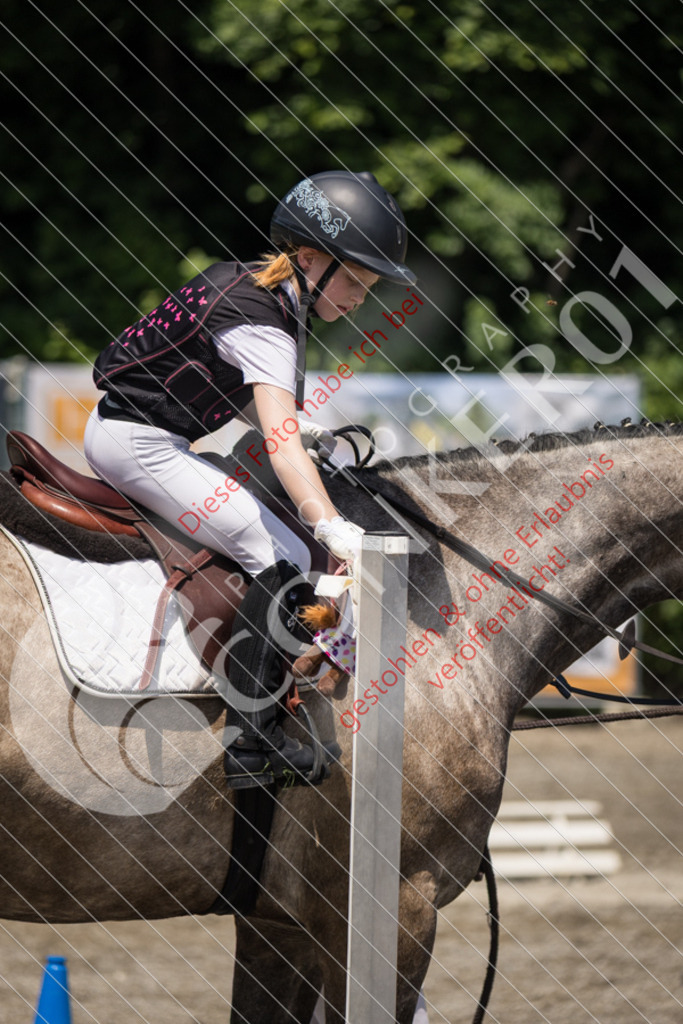 IMG_3488 | Sport-, Event- und Tierfotos in Profiqualität. Einfach auswählen, bestellen und herunterladen. Dein Moment – perfekt festgehalten.
