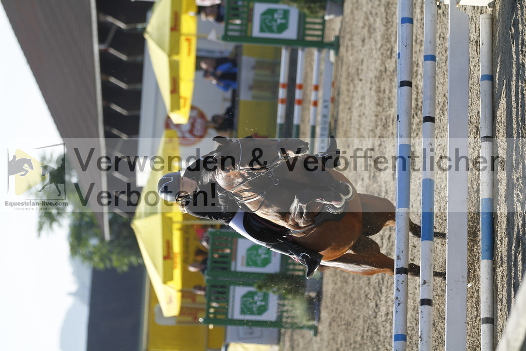 _MG_4163 | equestrian-live-com