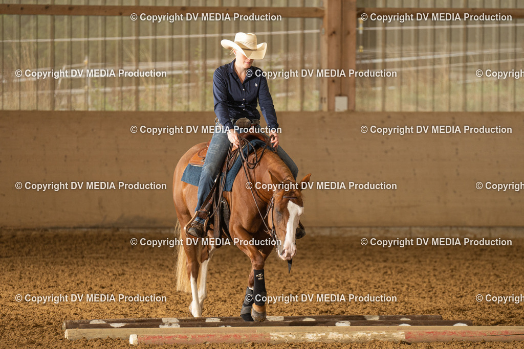 LAU00588 | dv-media-shop - Realisiert mit Pictrs.com