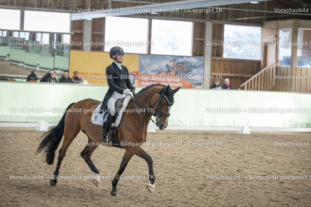 _D5A6665 | Emotionale Pferde- & People-Fotografie rund um Heidelberg, Leimen & Umgebung. Natürliche Fotos von Pferd, Mensch & Familie. Jetzt Termin sichern!