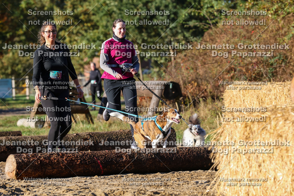 Dog Paparazzi - Strongdog 10-25-1193 | Dog Paparazzi Jeanette Grottendiek Fotografie & Videografie - Realisiert mit Pictrs.com