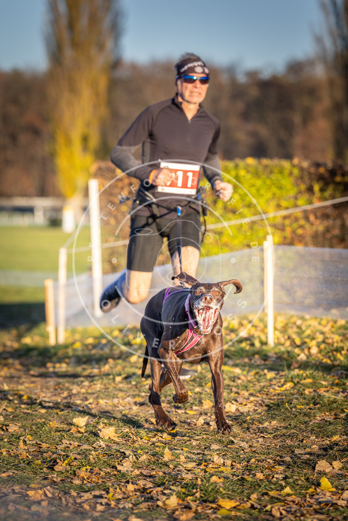 CaniXpix_DV3A4780 | Hundefotografie, Tierfotograf, Pfotenfotografie, Fotoshooting Hund, Hunde Portrait, Hundesport, Hundeportraits, Heideshooting, Hunde, Sportfotograf, Hundefotograf, Turnierhundsport, THS,  - Realisiert mit Pictrs.com