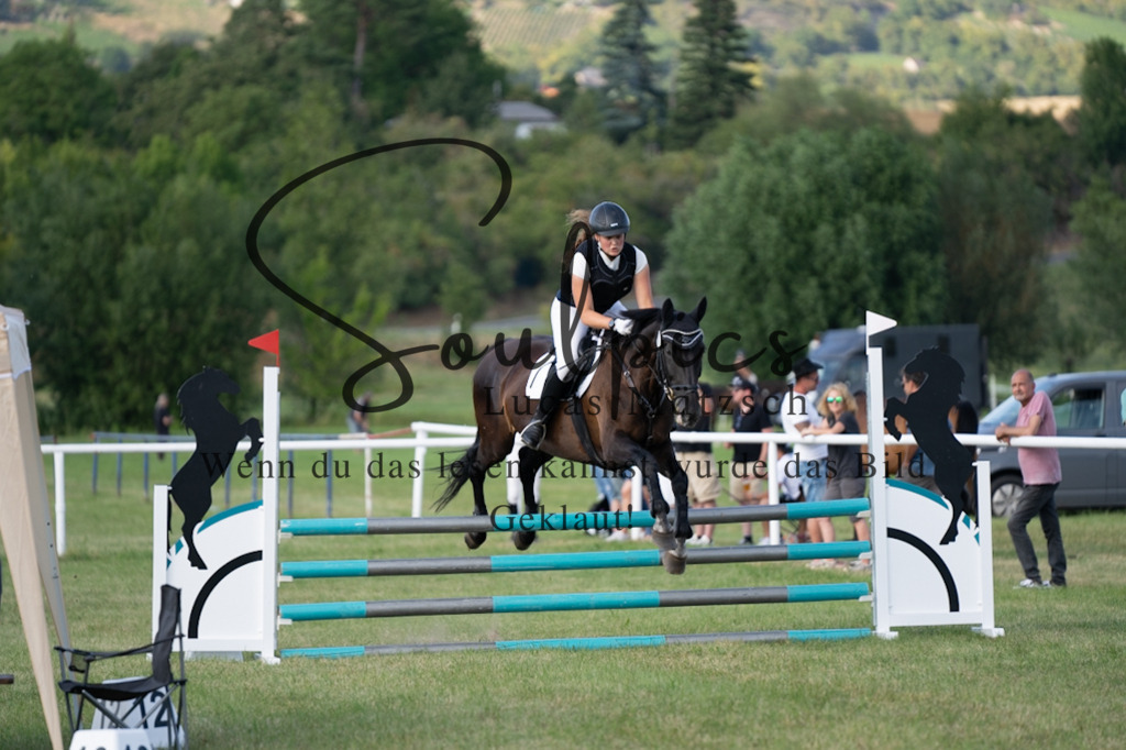 A7V00766 | Pferdefotograf