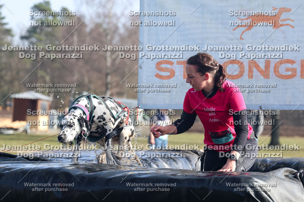 Dog Paparazzi - Strongdog North Mrz26-1472 | Dog Paparazzi Jeanette Grottendiek Fotografie & Videografie - Realisiert mit Pictrs.com