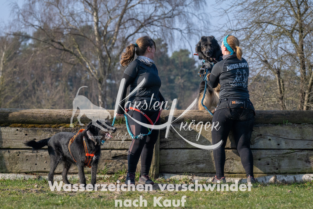 _ZZ94070 | kk-dogfotos