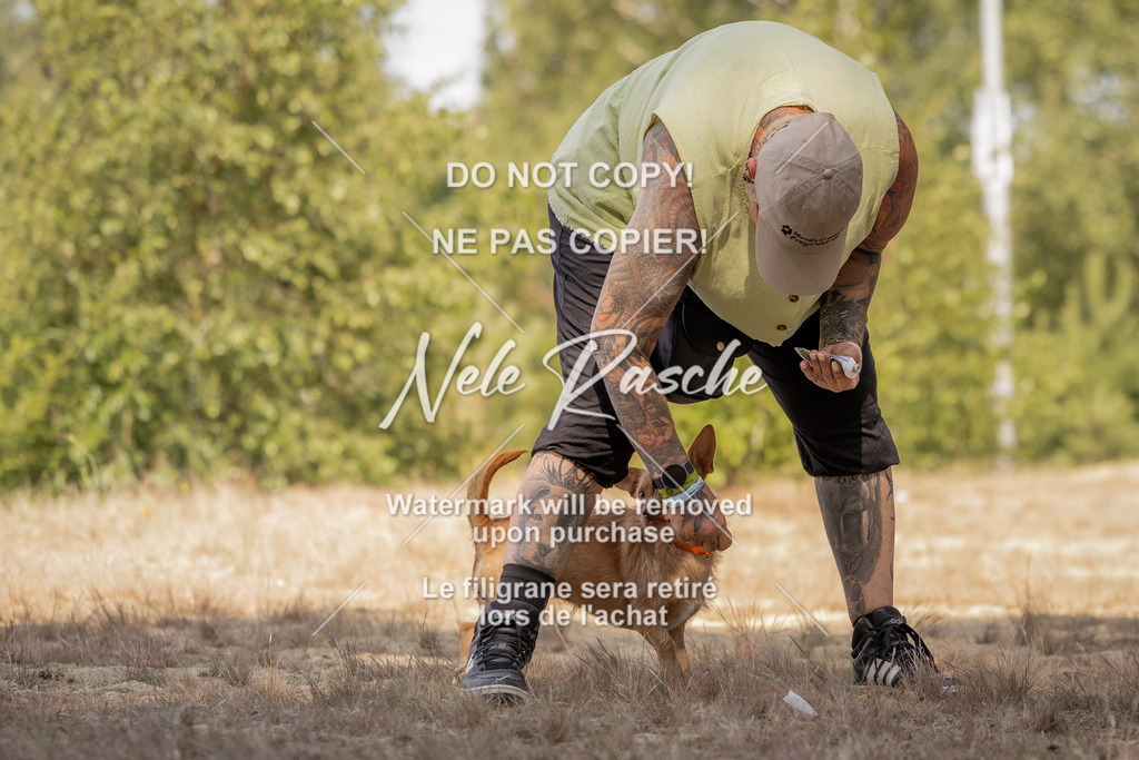 nelerasche_soDD2_49 | nelerasche