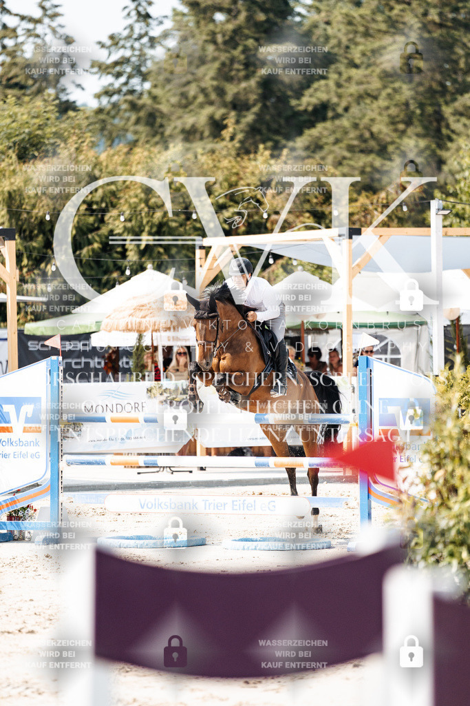 CK901679 | Turnierfotografie Pferdefotografie Trier Rheinland-Pfalz Pferdesport Reitsport Tierfotografie Sportfotografie Pferdevideo Pferdevideografie Equestrianvideography equestrianphotography  - Realisiert mit Pictrs.com