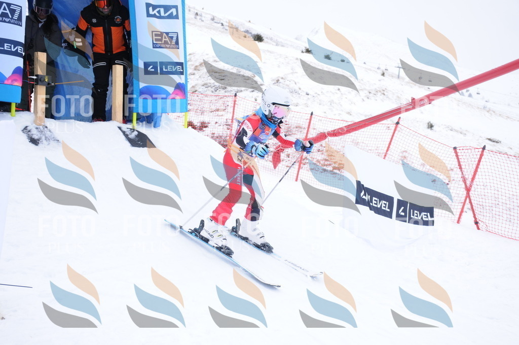 DSC_8684 | holidayphoto