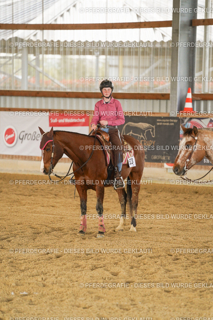 DSC08979 | Pferdegrafie